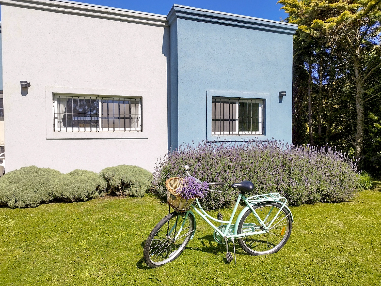 Casa Belén - vista del parque