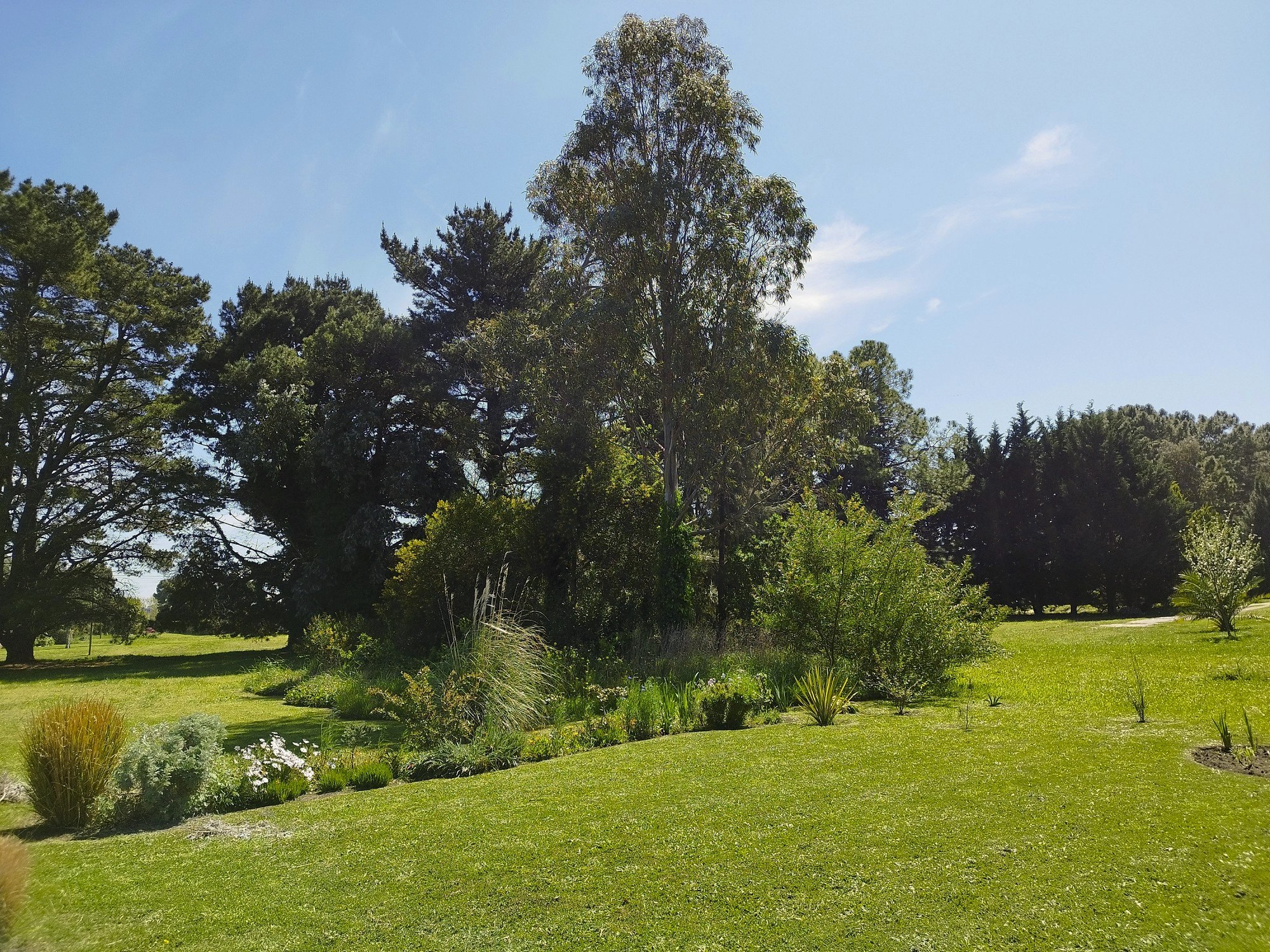 Casa Belén - comedor luminoso